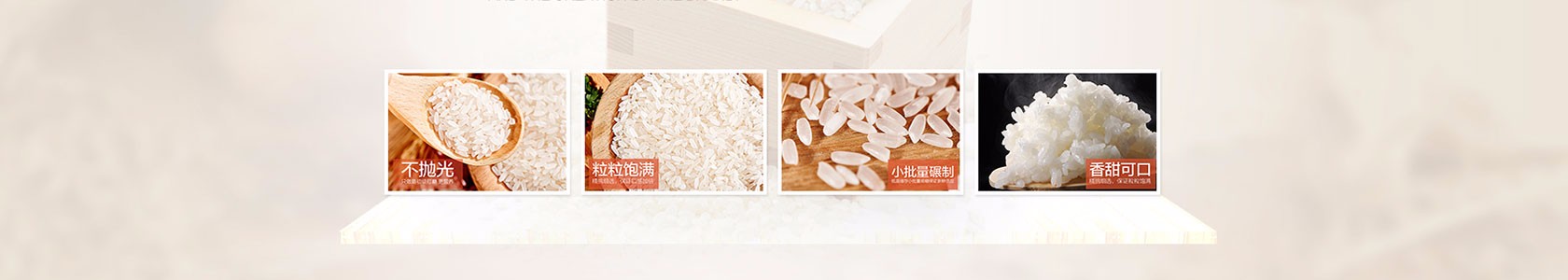 阜阳市卓越软件有限公司